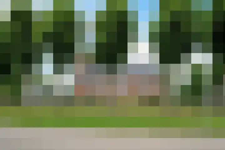 Buorren 46 Raerd thumbnail 7