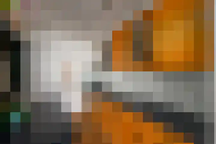 Buorren 50 Terkaple thumbnail 11