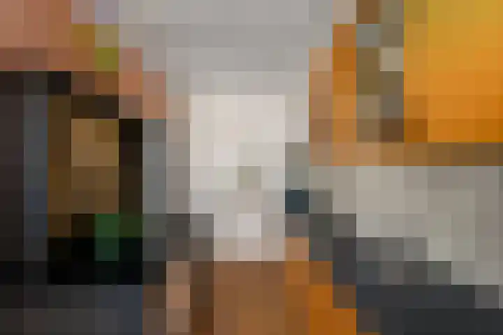 Buorren 50 Terkaple thumbnail 12