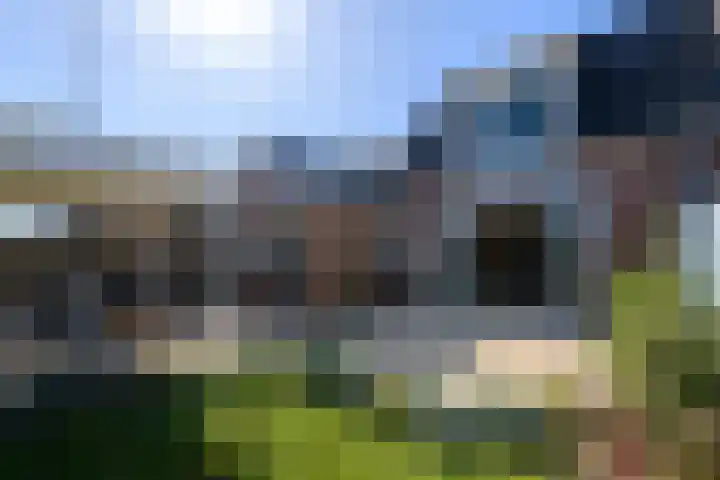 Buorren 50 Terkaple thumbnail 42