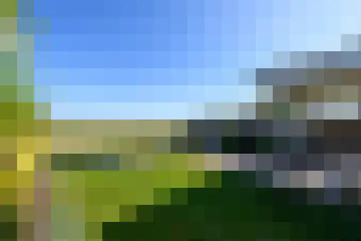 Buorren 50 Terkaple thumbnail 48