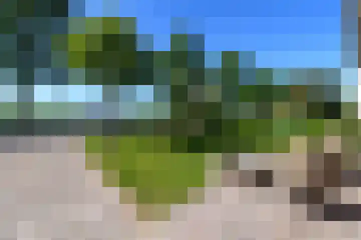 Buorren 50 Terkaple thumbnail 53