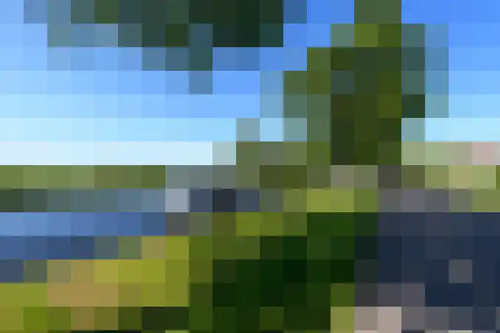 Buorren 50 Terkaple thumbnail 57