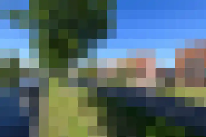 Buorren 50 Terkaple thumbnail 61