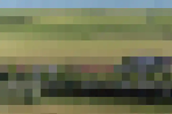 Buorren 50 Terkaple thumbnail 63
