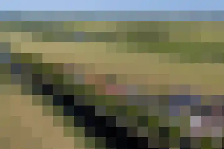 Buorren 50 Terkaple thumbnail 64