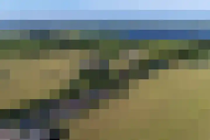 Buorren 50 Terkaple thumbnail 66