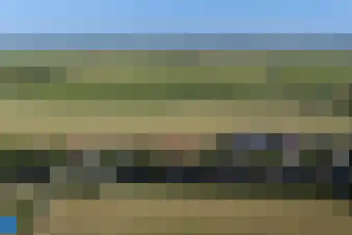 Buorren 50 Terkaple thumbnail 68