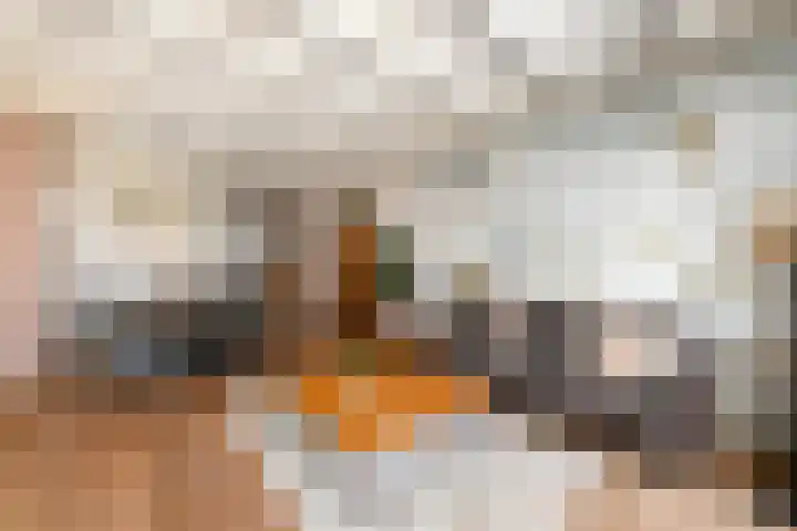Buorren 50 Terkaple thumbnail 7