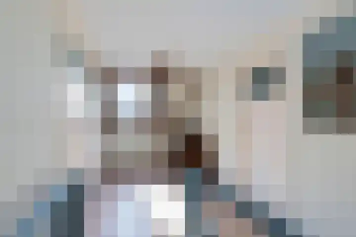 Buorren 6 Elahuizen thumbnail 17