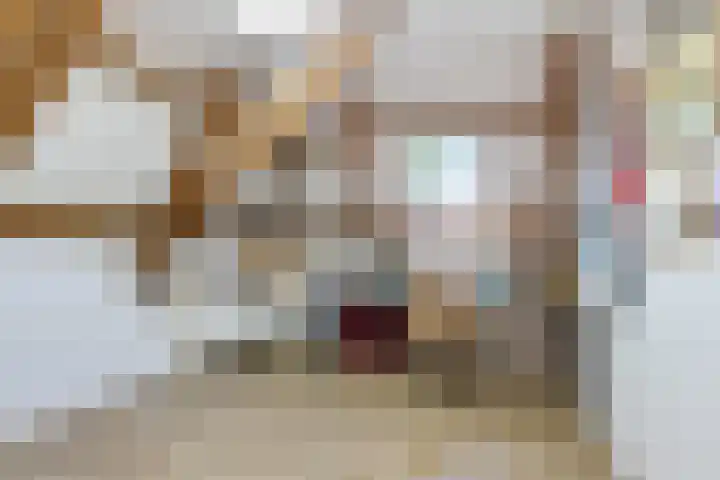 Buorren 6 Elahuizen thumbnail 18