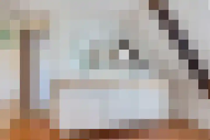 Buorren 6 Elahuizen thumbnail 26