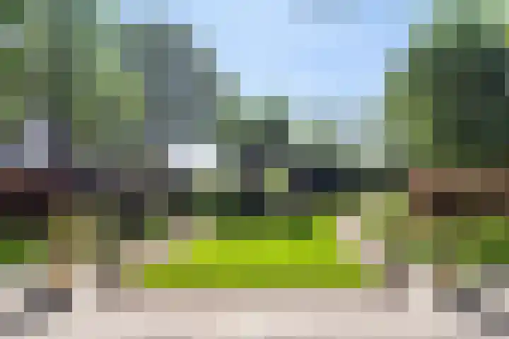 Buorren 6 Elahuizen thumbnail 27