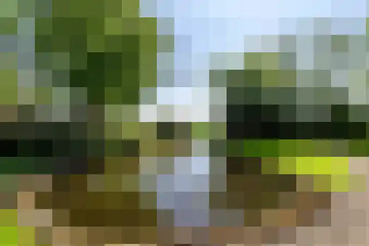 Buorren 6 Elahuizen thumbnail 28