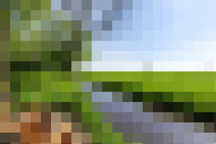 Buorren 6 Elahuizen thumbnail 29