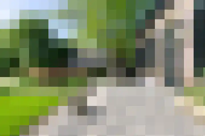 Buorren 6 Elahuizen thumbnail 31