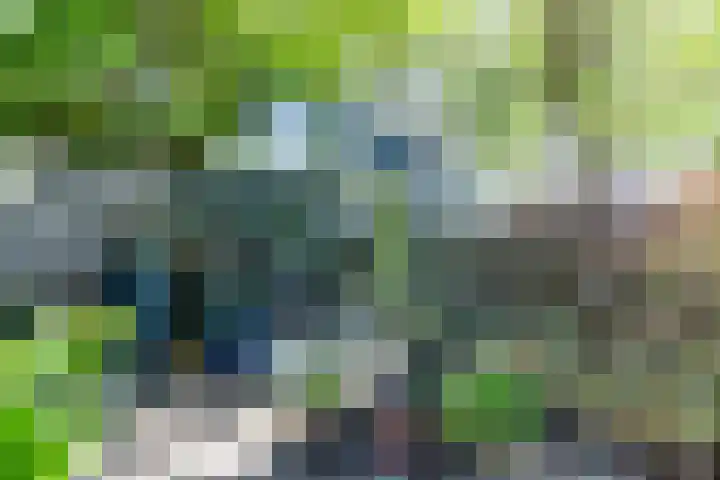 Buorren 6 Elahuizen thumbnail 33
