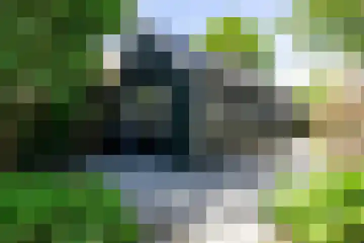 Buorren 6 Elahuizen thumbnail 36
