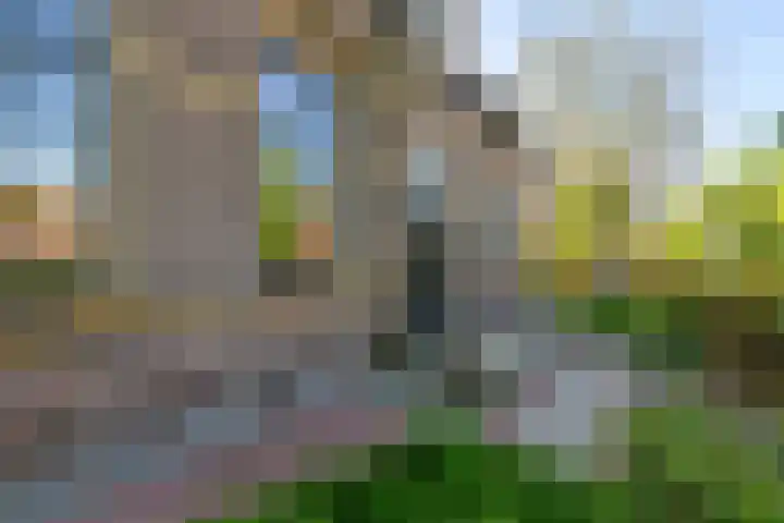 Buorren 6 Elahuizen thumbnail 39