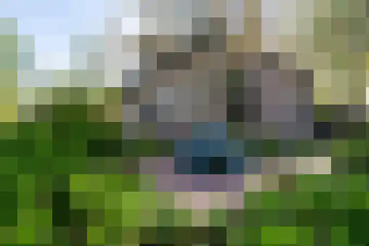 Buorren 6 Elahuizen thumbnail 40