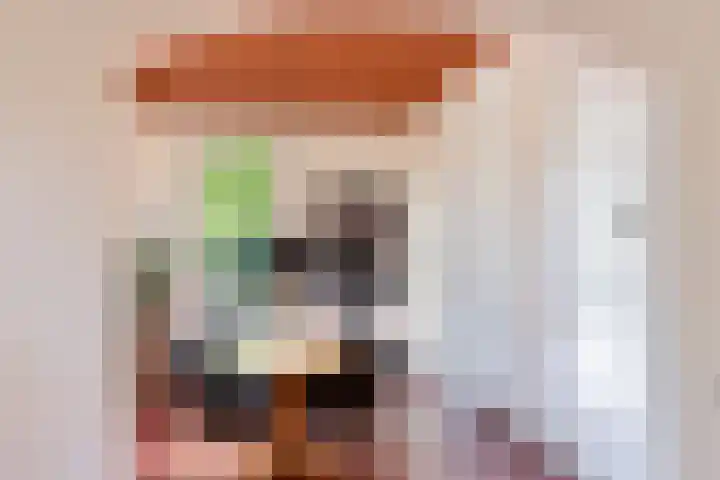 Buorren 6 Elahuizen thumbnail 9