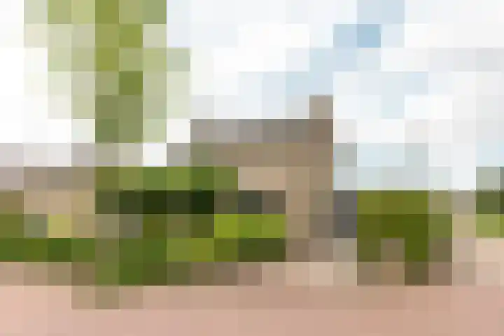 Buorren 69 Rottevalle