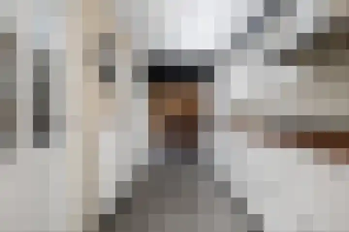 Buorren 7 Terherne thumbnail 22