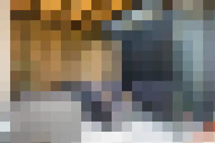 Buorren 7 Terherne thumbnail 24