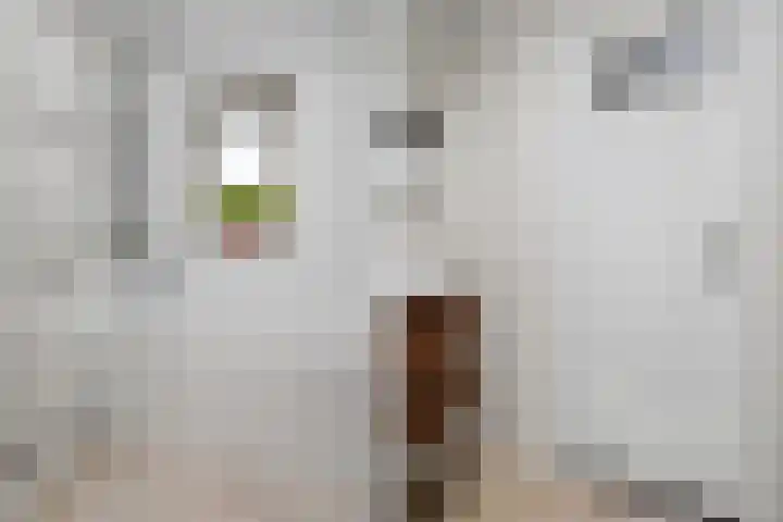 Buorren 7 Terherne thumbnail 31