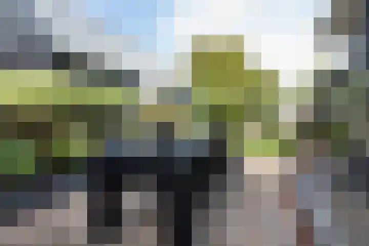 Buorren 7 Terherne thumbnail 7