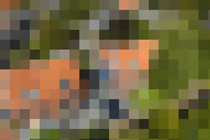 Buorren 7 Terherne thumbnail 9