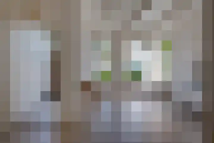 Buorren 8 Bitgum thumbnail 12