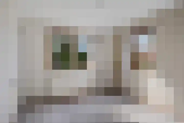 Buorren 8 Bitgum thumbnail 20
