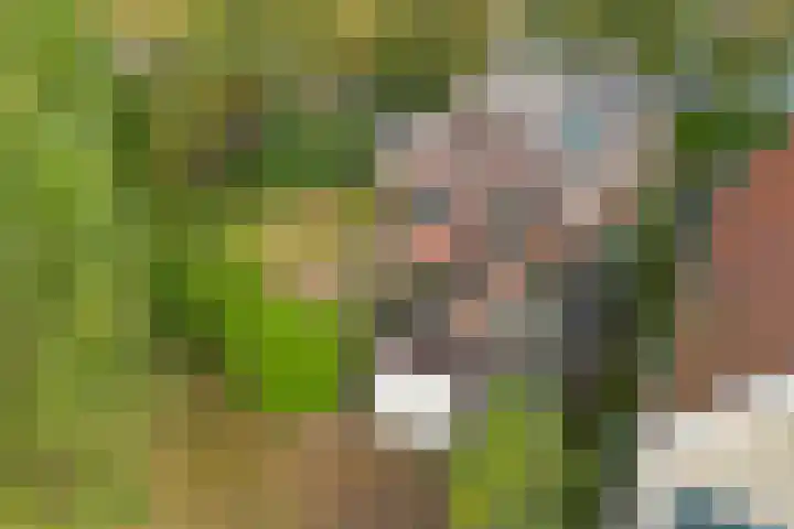 Buorren 8 Bitgum thumbnail 37