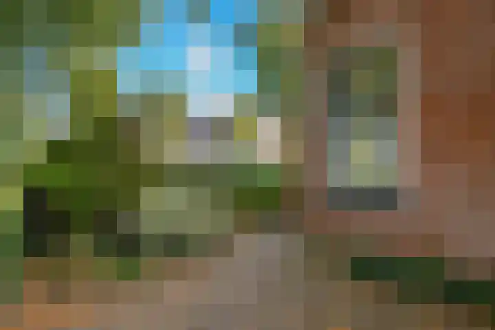 Buorren 8 Bitgum thumbnail 39