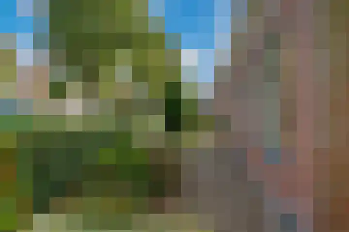 Buorren 8 Bitgum thumbnail 40