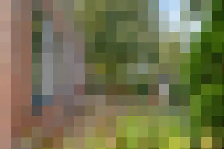 Buorren 8 Bitgum thumbnail 41