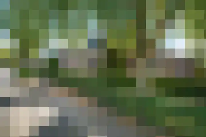 Buorren 8 Bitgum thumbnail 44