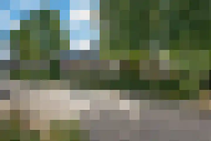Buorren 8 Bitgum thumbnail 46