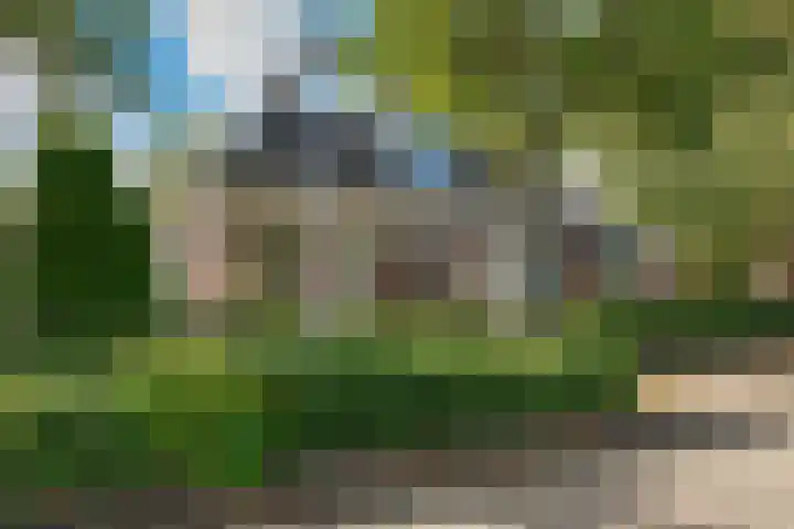 Buorren 8 Bitgum thumbnail 47