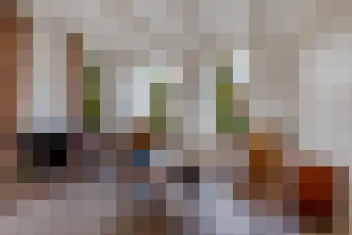 Buorren 8 Bitgum thumbnail 5