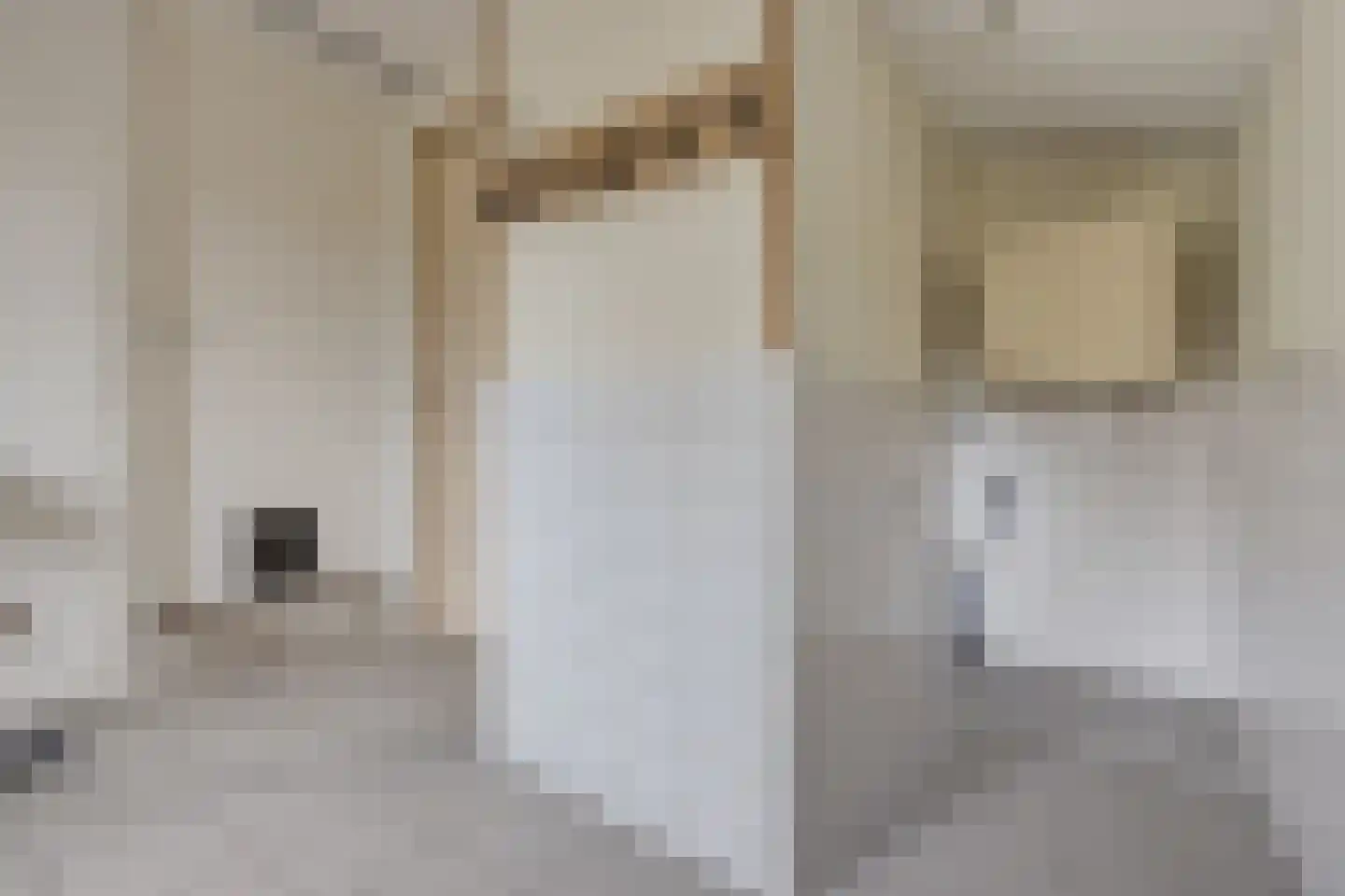 Buorren 9 Elahuizen thumbnail 14