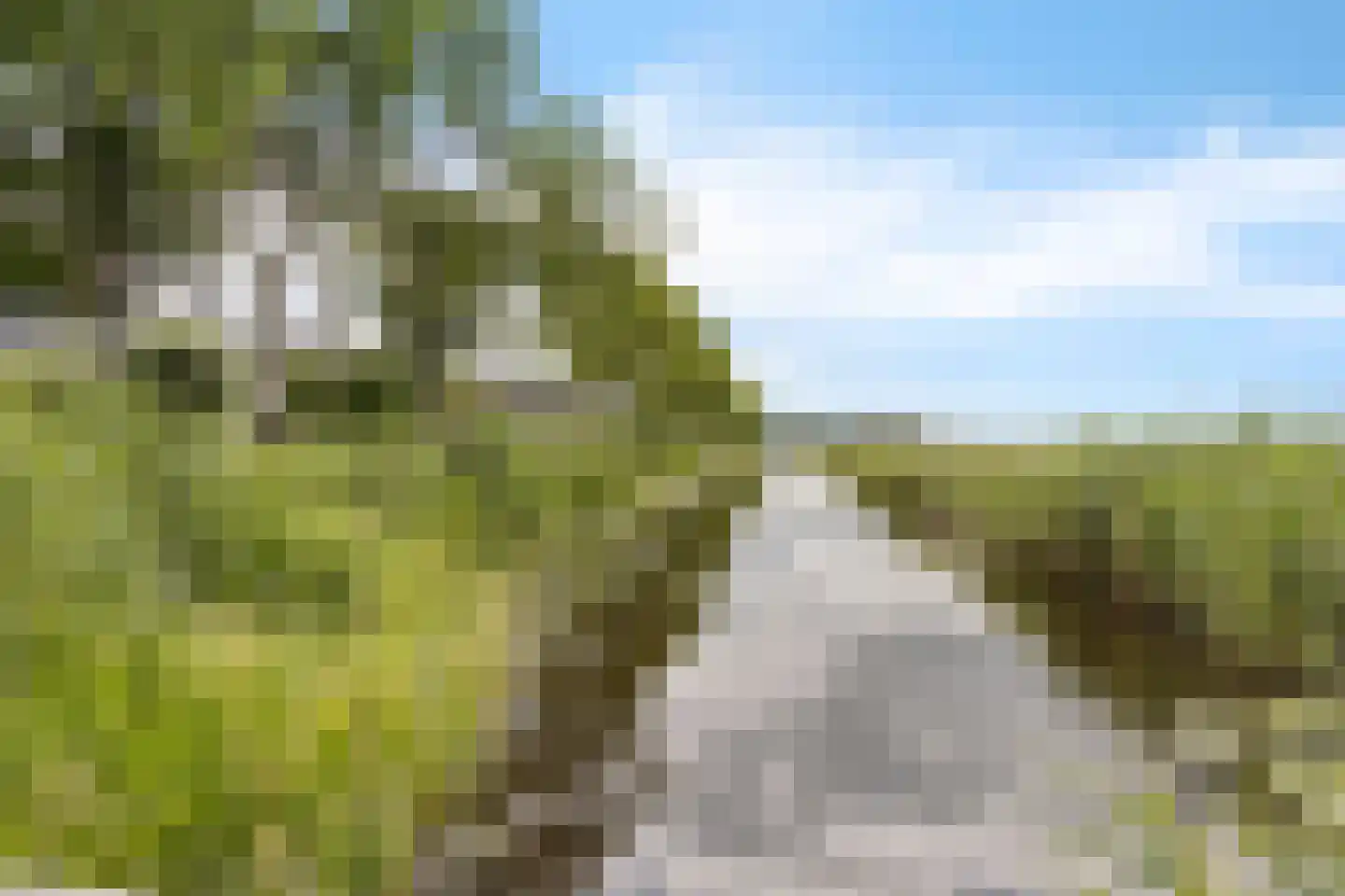 Buorren 9 Elahuizen thumbnail 40