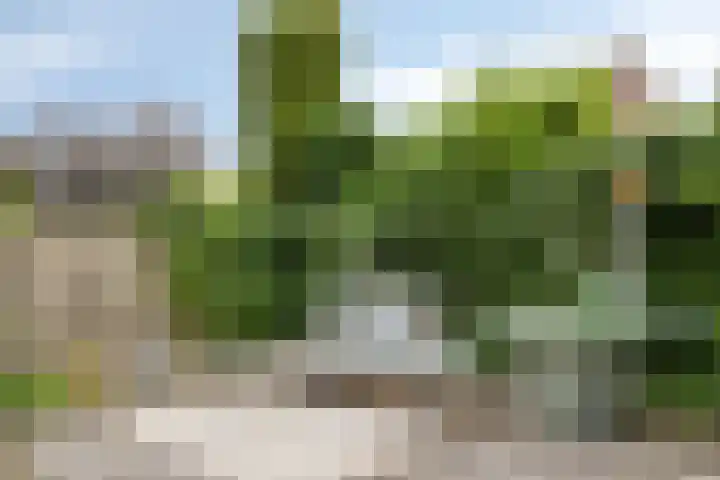 Burcht 18 Veldhoven thumbnail 28