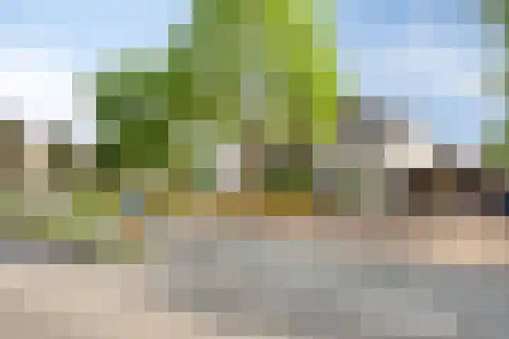 Burcht 18 Veldhoven thumbnail 31