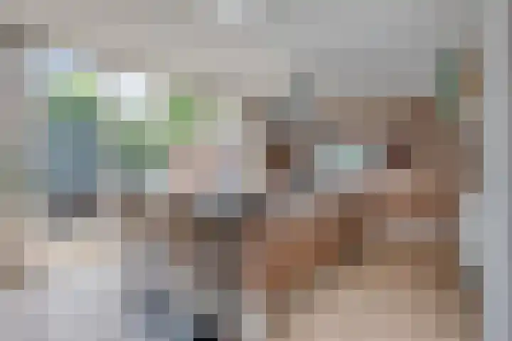 Burcht 18 Veldhoven thumbnail 6