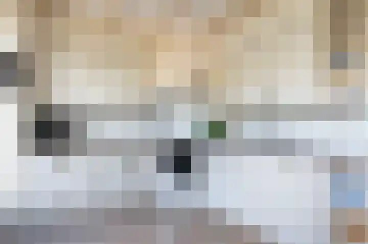 Burcht 27 Almelo thumbnail 15