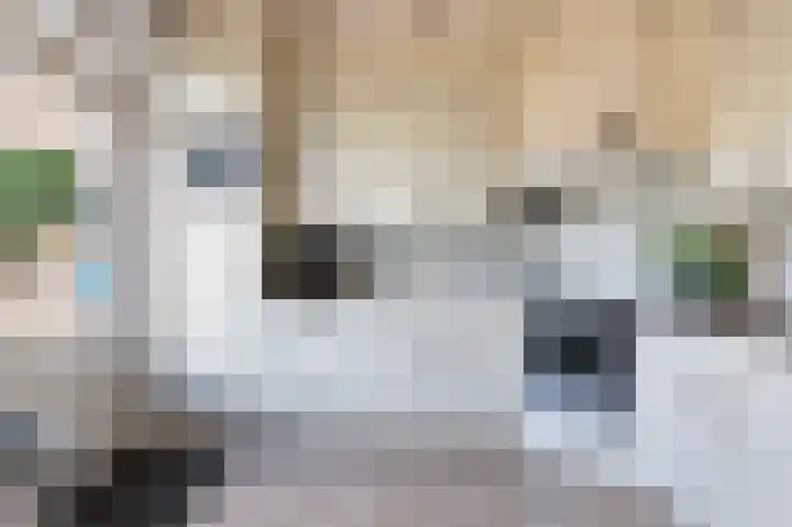 Burcht 27 Almelo thumbnail 16