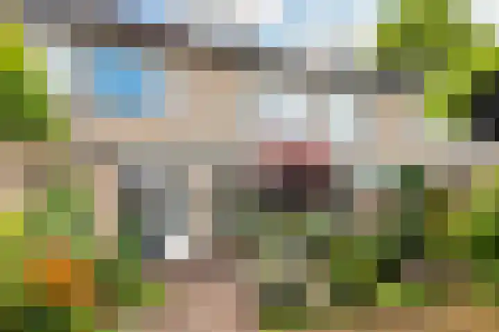 Burcht 27 Almelo thumbnail 18