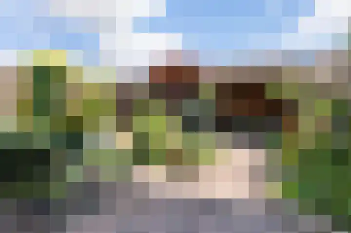 Burcht 27 Almelo thumbnail 19
